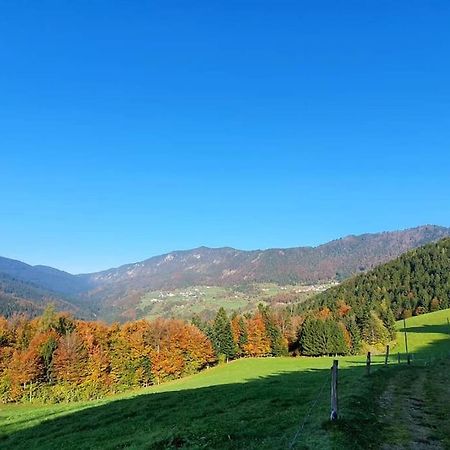 ZeleznikiHouse Pucnk-Beautiful Countryside别墅 外观 照片