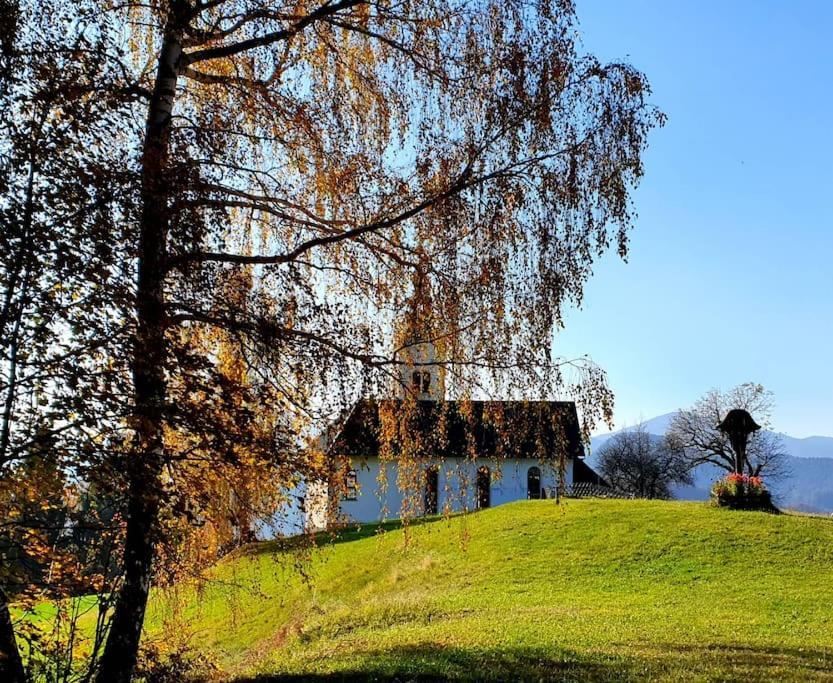 ZeleznikiHouse Pucnk-Beautiful Countryside别墅 外观 照片
